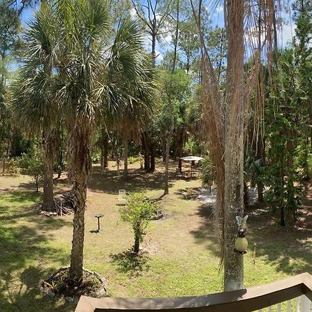 "Mia'S Place" Beautiful Private Apartment Surrounded By Nature Naples Zewnętrze zdjęcie
