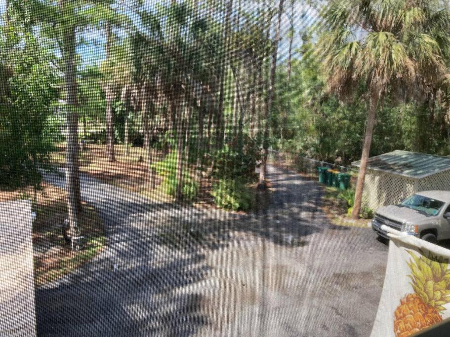 "Mia'S Place" Beautiful Private Apartment Surrounded By Nature Naples Zewnętrze zdjęcie